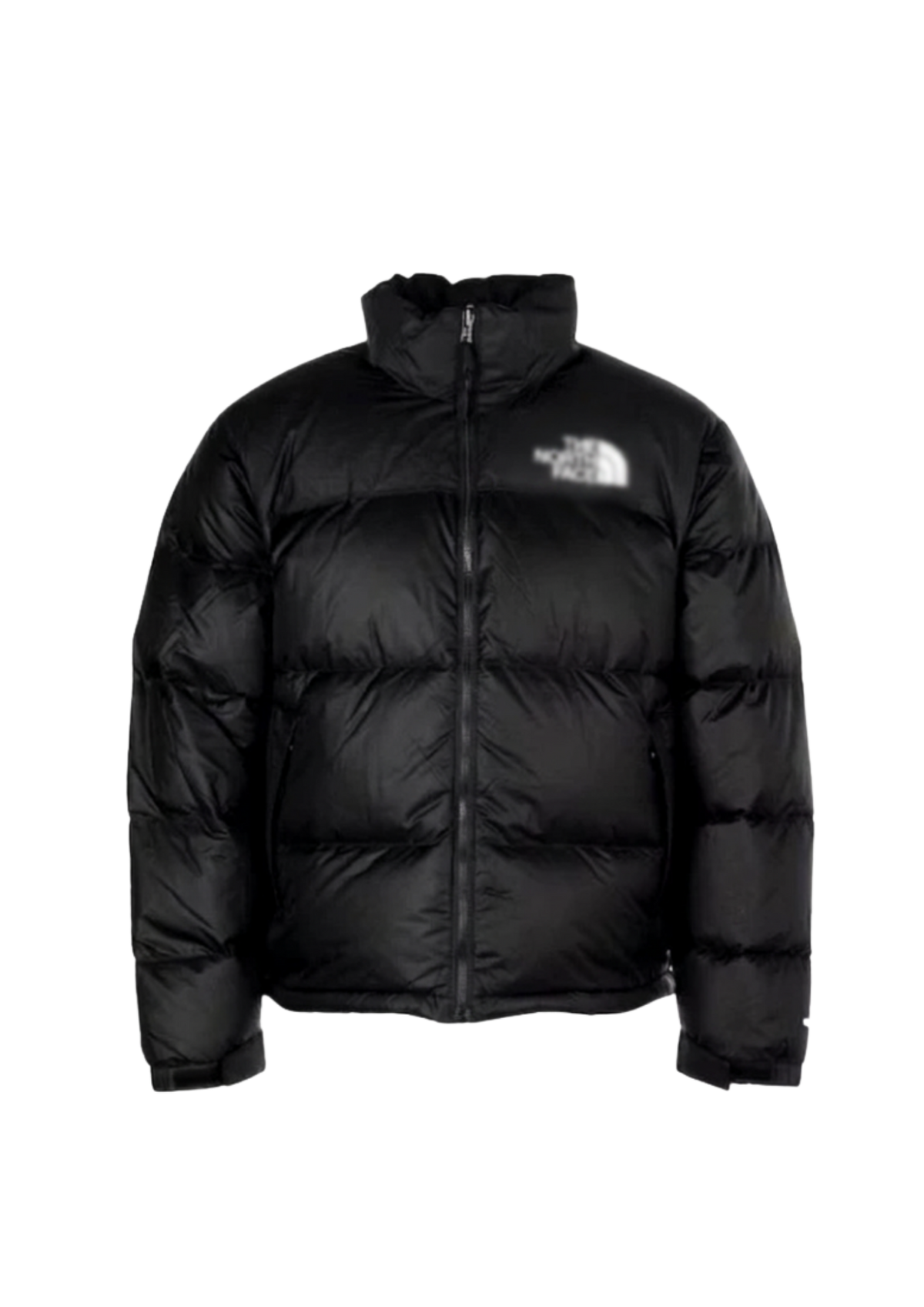 TNF Puffer Jacket